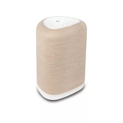 Bluesound Pulse Flex P130 a Ginevra | Digistore.ch